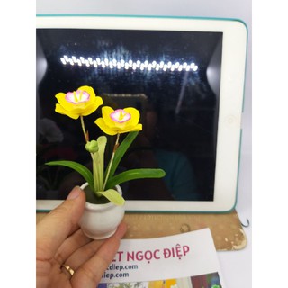 [Hoa đất sét] HOA THỦY TIÊN MINI,Giao mẫu ngẫu nhiên