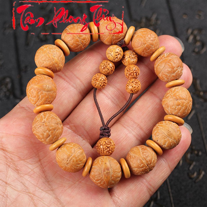 Vòng Tay Phong Thủy Hạt Phụng Nhãn Bồ Đề Cao Cấp Hạt Tròn - Tâm Phong Thủy