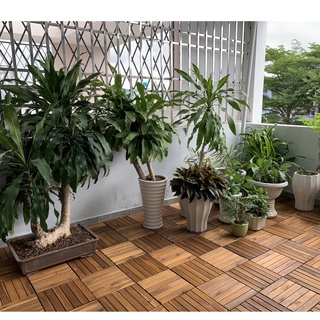10 Tấm Lót Sàn Gỗ 6 Nan XK CHÂU ÂU Ban Công, Sân Vườn, Bể Bơi, Thảm trải sàn, gỗ lót chống nắng nóng