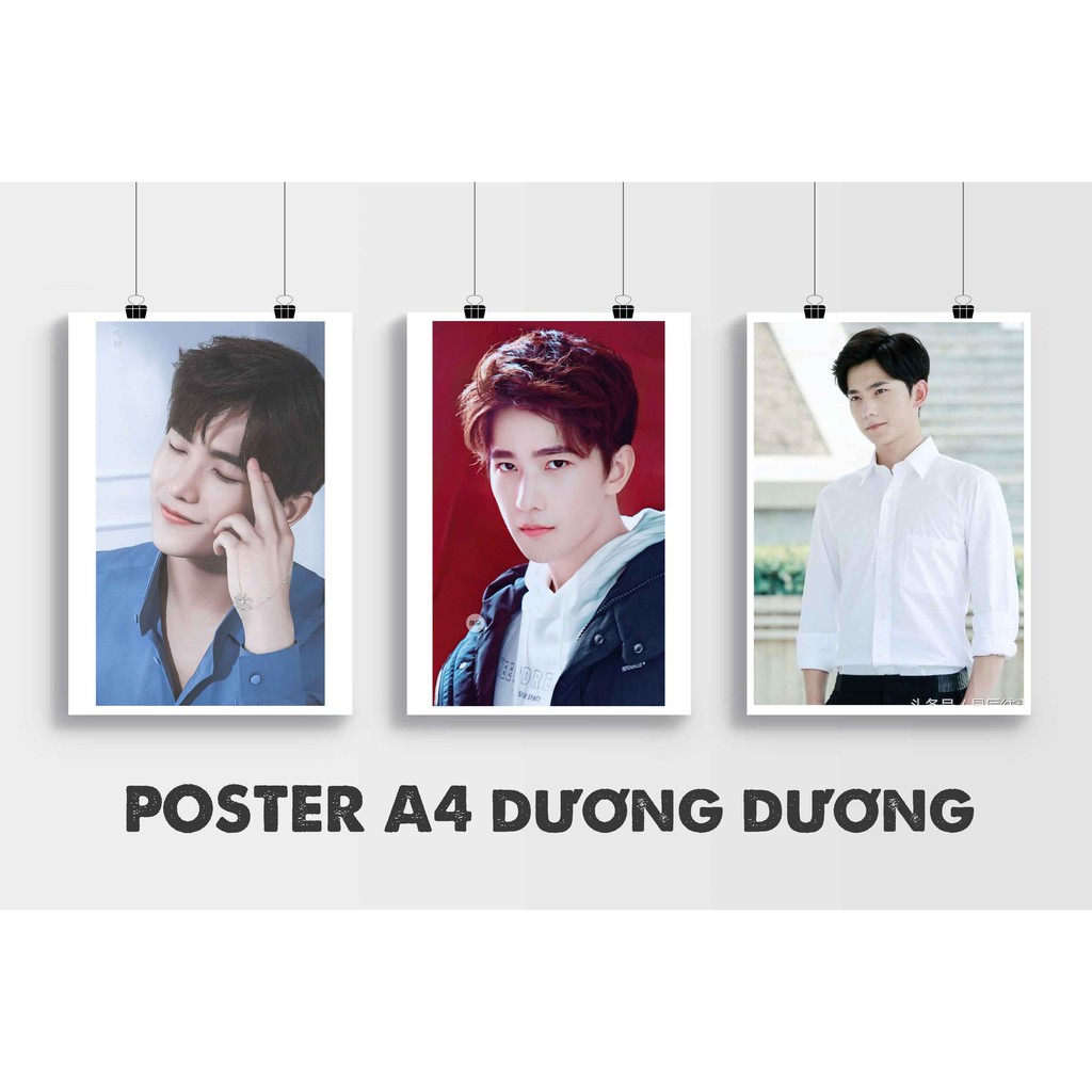 Poster a4 ép cứng Dương Dương