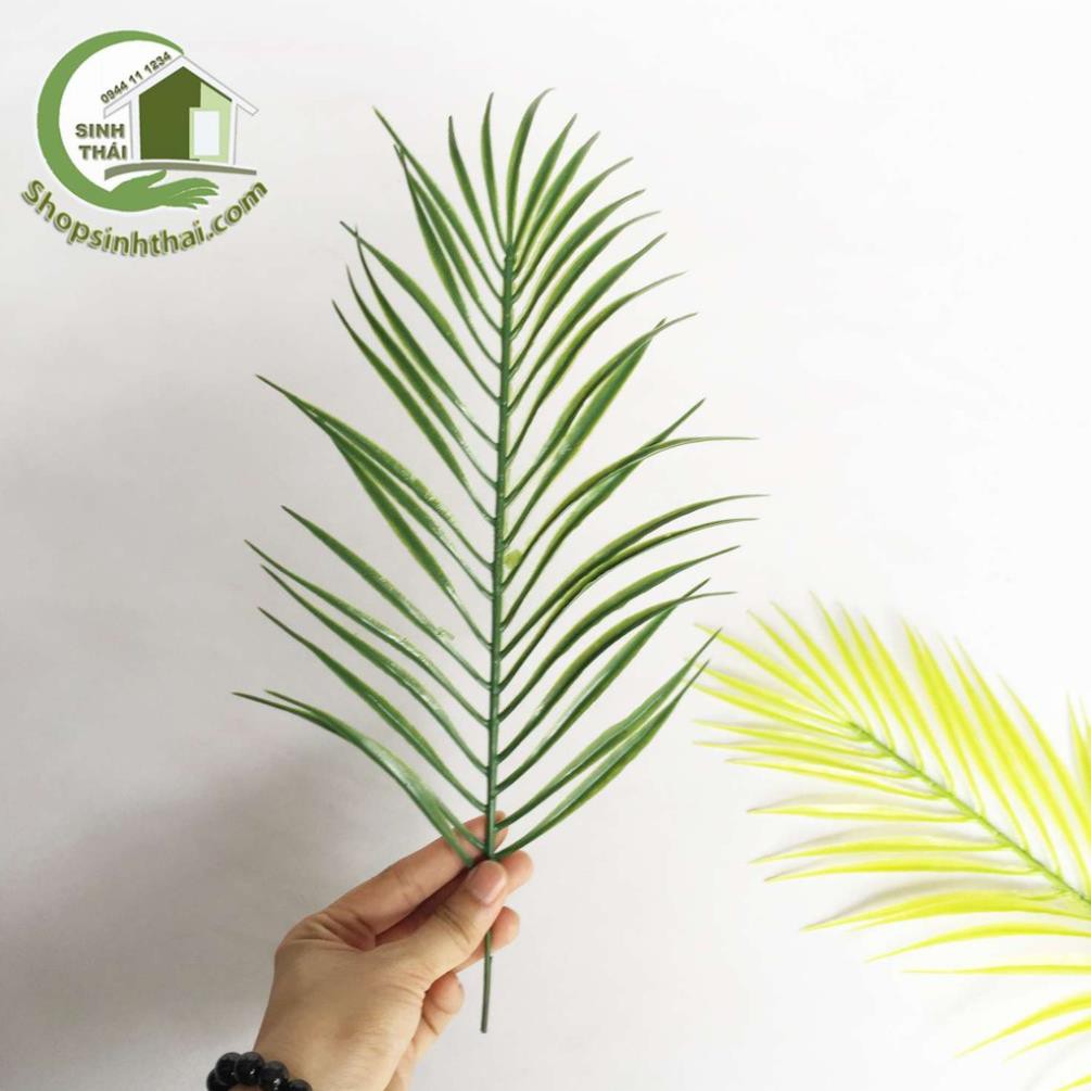 Lá cây trang trí - phụ kiện lá cây chụp hình ảnh sản phẩm - chọn mẫu
