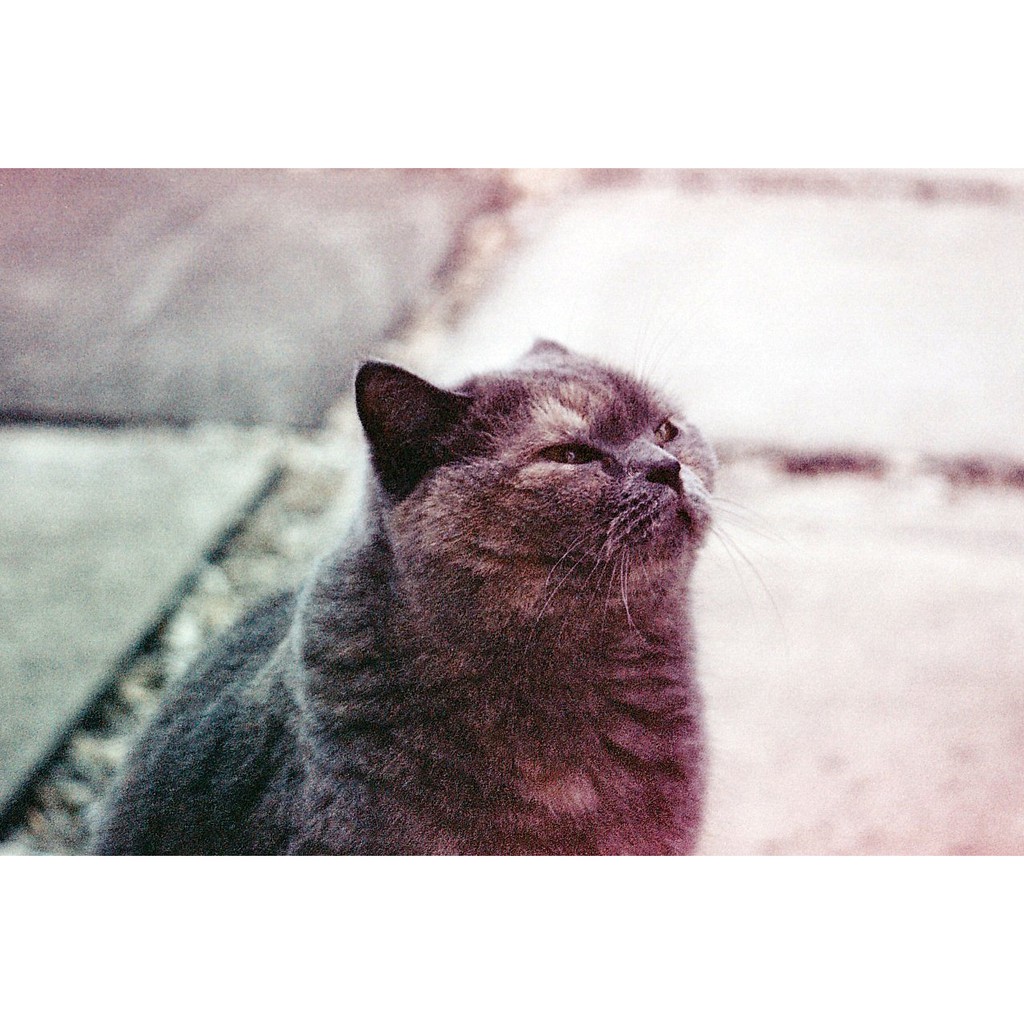 [Film Kodak APS] - Film (24mm) giá rẻ, hàng US