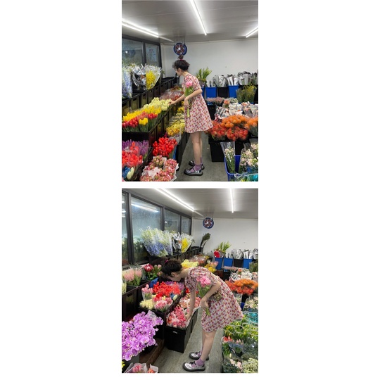 French round neck floral short-sleeved dress women's summer 2022 new Korean style high waist slimming A- line dress