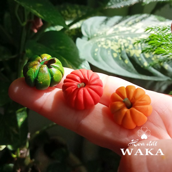 Mô hình 1 Trái Bí Đỏ Mini- Rau Củ Quả Mini 1/12