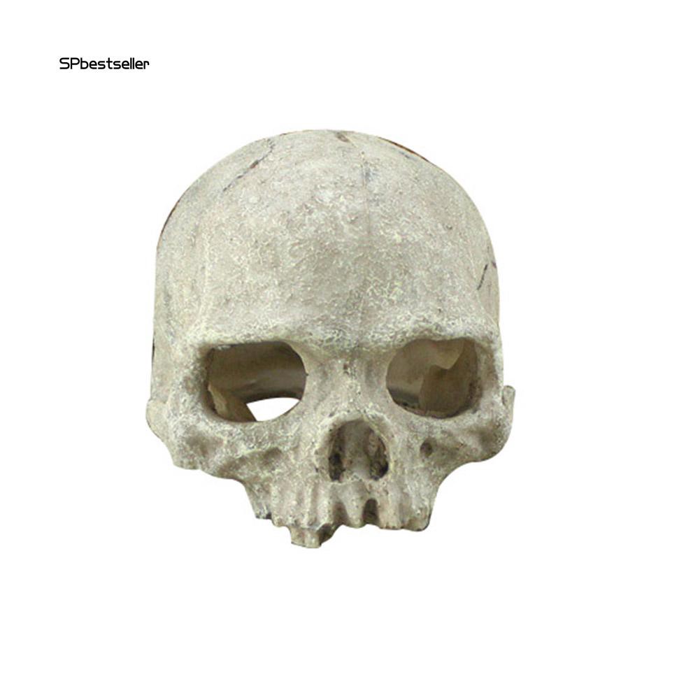 Mô hình đầu lâu bằng nhựa tạo hình trang trí bể cá độc đáo