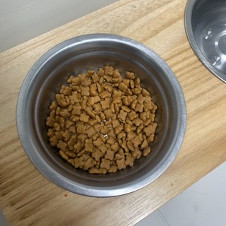 Hạt thức ăn Royal Canin Kitten dành cho mèo từ 3 tháng trở lên túi 10kg lớn nhất PET TOOLS