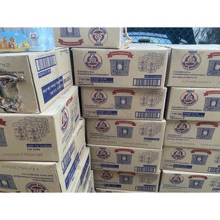 [HOT ] Combo 2 lốc sữa gấu Thái Lan tăng chiều cao và tăng cân 24 lon tặng 1 hộp nhựa