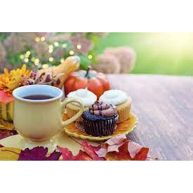 HỘP 48 GÓI 8 VỊ TRÀ Taylors of Harrogate Assorted Specialty Teas Box, 111g