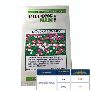50H - HẠT GIỐNG HOA DỪA CẠN ĐỨNG