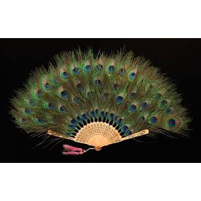 Combo 12 Lông công tự nhiên | BigBuy360 - bigbuy360.vn