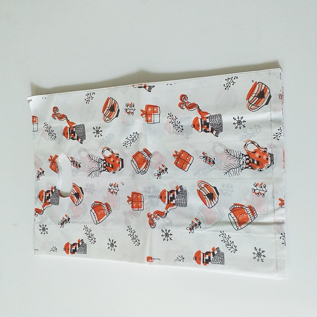 1 Kg túi hạt xoài kt 26x40