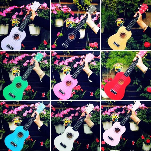 Đàn ukulele