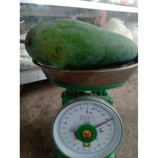 Xoài Đài Loan. 1kg.