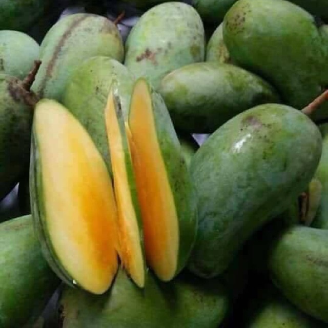 Xoài Xanh giống Thái Thơm Ngon Giao hỏa tốc 1h