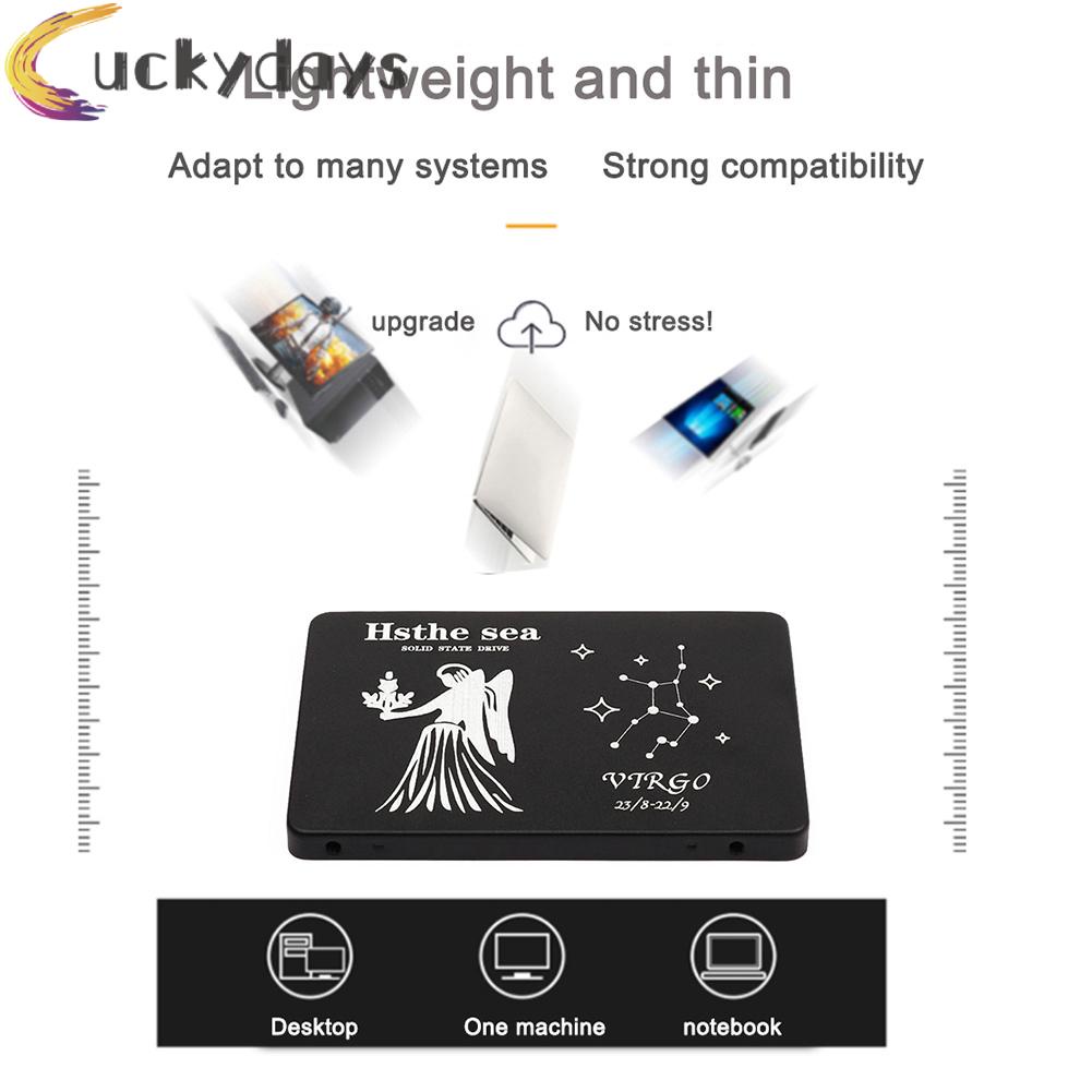 LUCKYDAYS 2.5 SATA III Internal SSD Solid State Drive Virgo Pattern for Computer PC | BigBuy360 - bigbuy360.vn