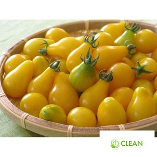 Hạt Giống Cà Chua Lê Vàng - 30 Hạt