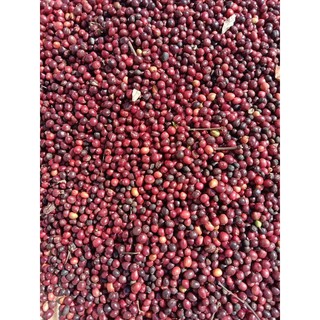 Cà phê hữu cơ - NAFA COFFEE ORGANIC - 500 gram
