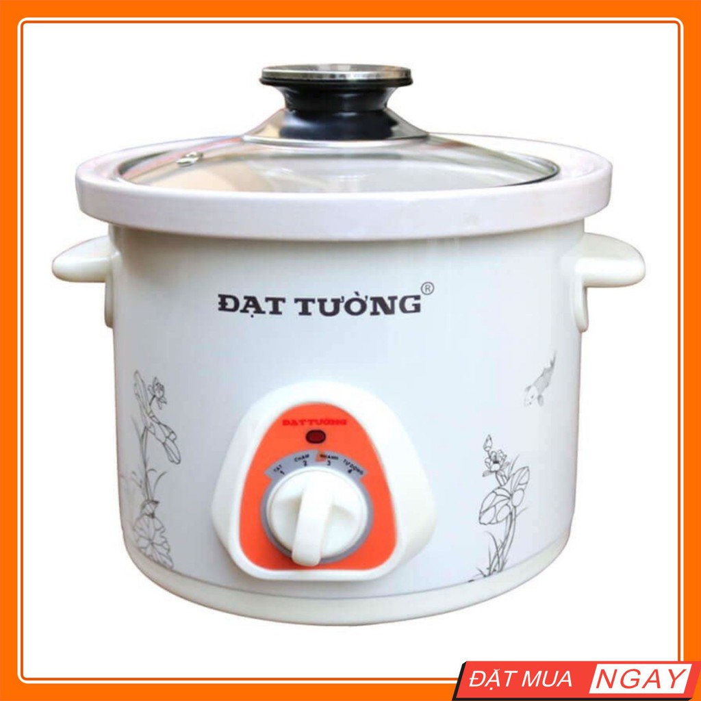 Nồi Kho Cá Điện Đạt Tường (2,5 L) – Nồi Hầm Cháo Chậm Đa Năng Chính Hãng Giữ Nhiệt Cực Tốt