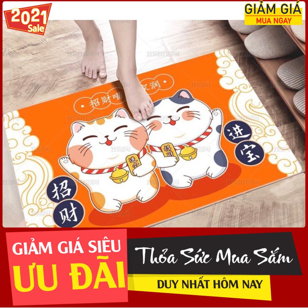 Thảm lau chân 3D 40x60cm,mẫu TLC07