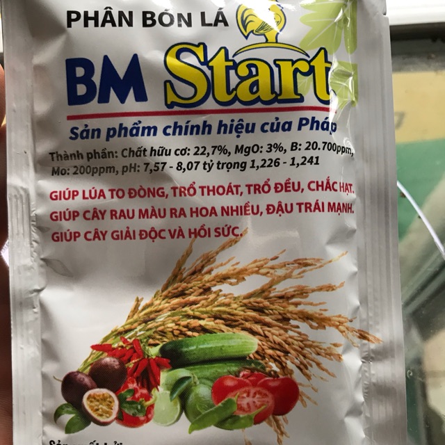 Giải độc cho lan khi bị ngộ độc BM Start
