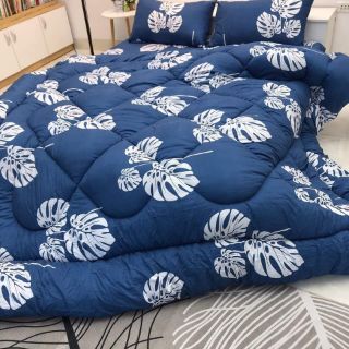 Set chăn phao cotton đũi