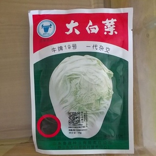 Hạt giống cải thảo