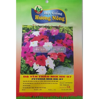 hạt giống hoa dạ yên thảo