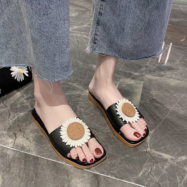 DÉP HOA CÚC ĐỦ MÀU