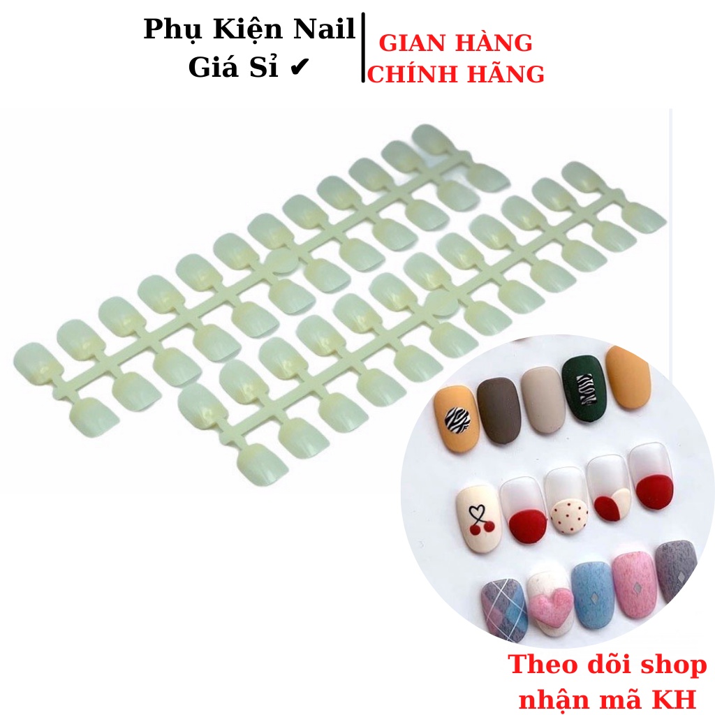 Móng mẫu vuông vỉ tập vẽ, sơn làm mấu trưng bày