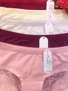 Bán sỉ quần chip cotton pha ren 1483