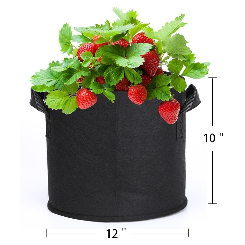 Túi vải trồng cây 30 gallon