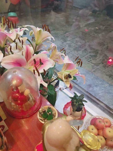 TRẦM HƯƠNG | BigBuy360 - bigbuy360.vn