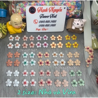 Hoa Bột 3D: Set 2 bông Hoa Mai trang trí móng nails