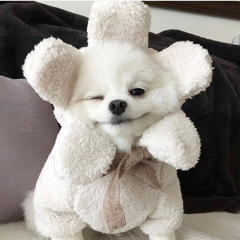 Áo Khoác Lông Cừu Họa Tiết Hoa Hướng Dương Đính Đá Cho Thú Cưng Chó Mèo