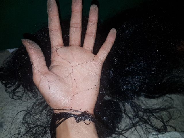 60m Lưới bẫy chim cu , cò, két , cao 6m 5 dây 4 túi đã thắt chống gió và nhuộm tàng hình hàng Thái Lan