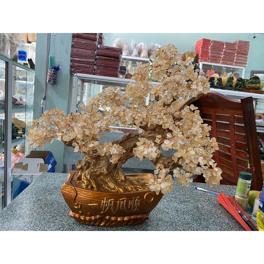 Cây tài lộc bonsai phong thủy đá TA. vàng