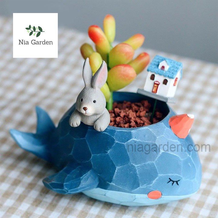 Chậu nhựa hình thú trồng cây cảnh xương rồng sen đá mini để bàn cá voi xanh Nia Garden N4