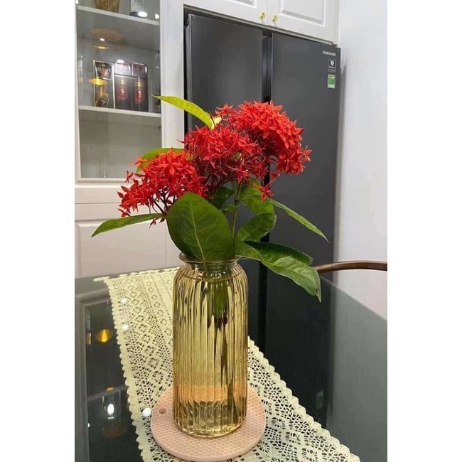 Lọ hoa thủy tinh Bình cắm hoa trụ tròn sọc dọc Trang trí Decor để bàn phòng khách sang trọng