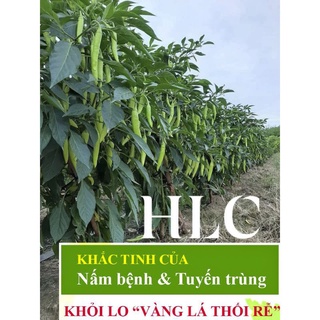 CHẾ PHẨM SINH HỌC TRICHODERMAR BACILLUS HLC  500ml
