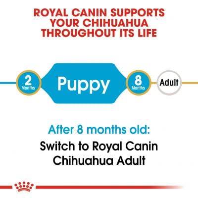 Royal canin chihuahua puppy 1.5kg - Thức ăn cho chó chihuahua nhỏ 1.5kg