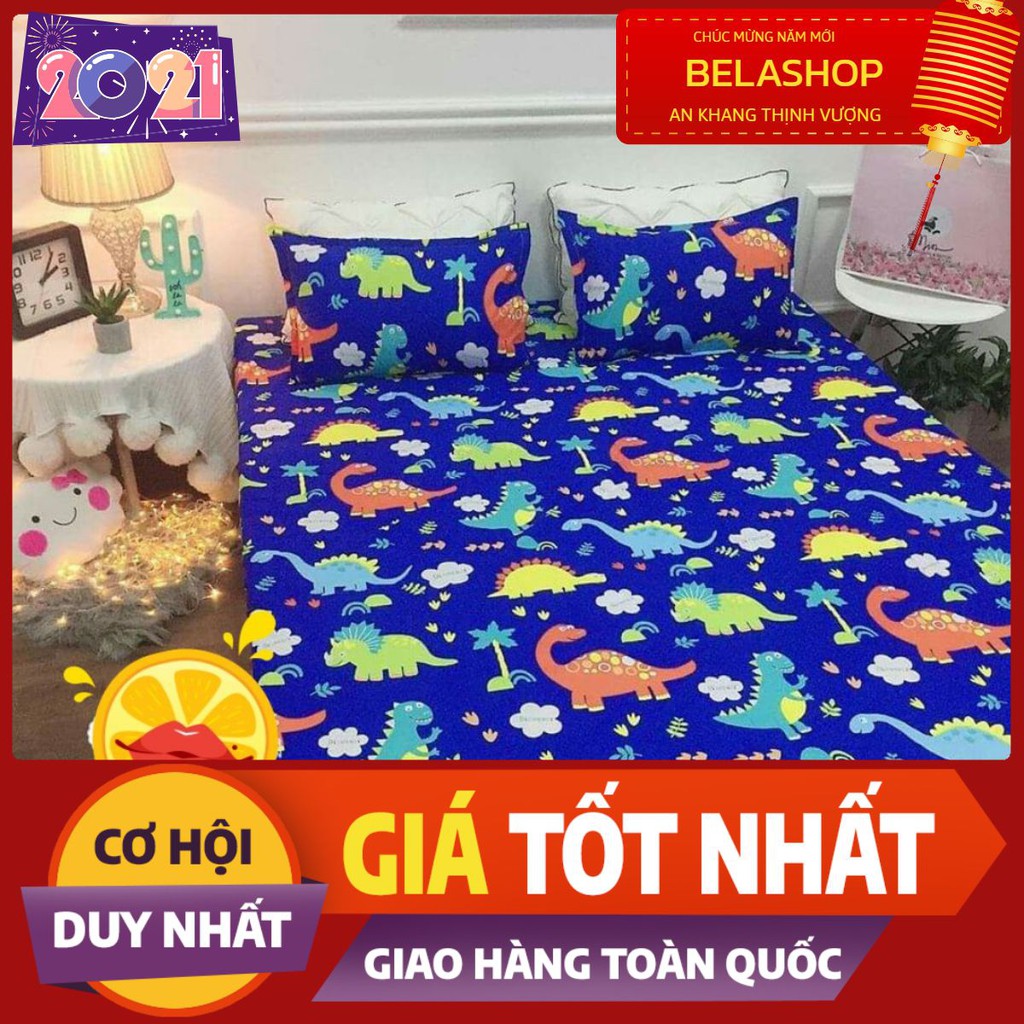 Bộ ga gối Drap 1m2 Cotton Poly Vikona mã 04