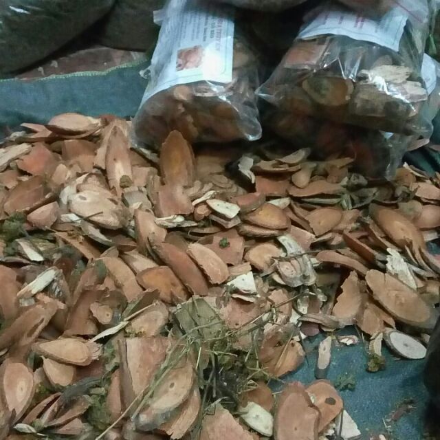Cỏ máu tăng cân
