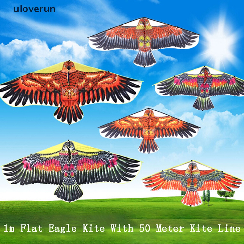 1 Cuộn Dây Diều 1M 50M Hình Chim Đại Bàng Độc Đáo