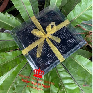 (Set 10) Hộp rau câu mica (KHÔNG HỘP CON)