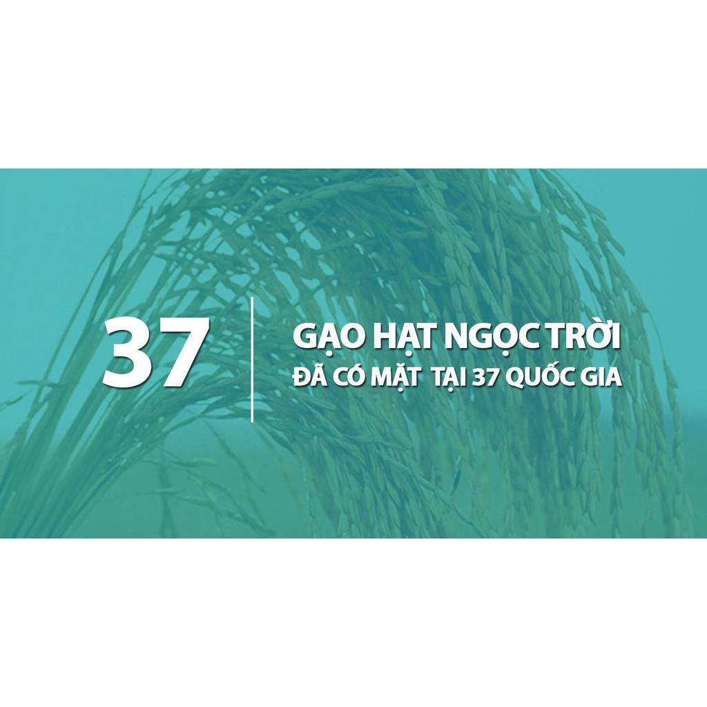 Gạo Hạt Ngọc Trời Tiên Nữ Túi 5kg