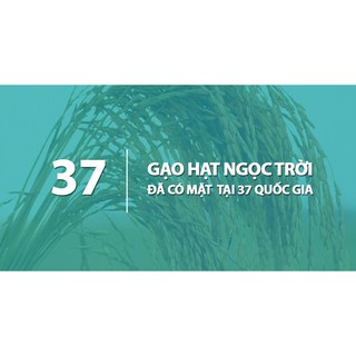 Gạo Hạt Ngọc Trời Tiên Nữ 5kg