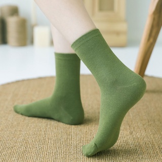 VỚ TRƠN CỔ CAO BASIC MÀU PASTEL