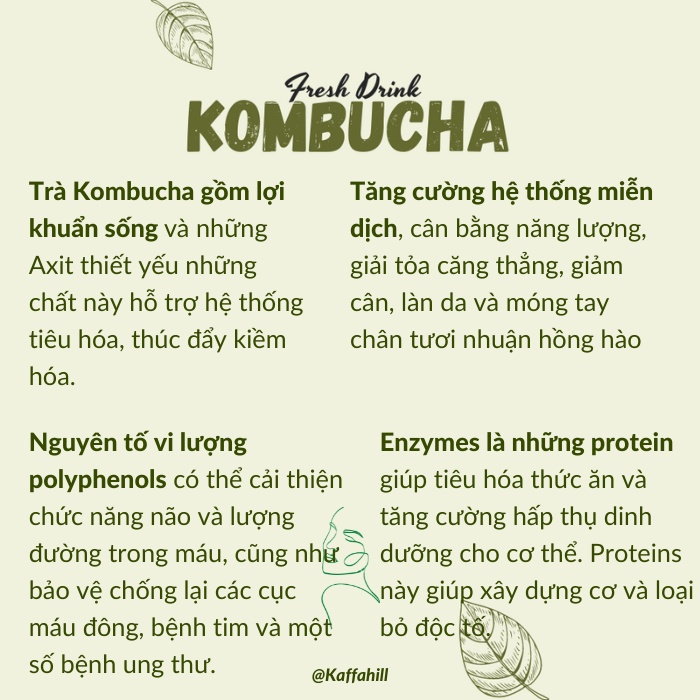 Trà lên men Kombucha 1000ml - Kaffa Hill - Detox - Bảo vệ hệ tiêu hóa - Giảm cân