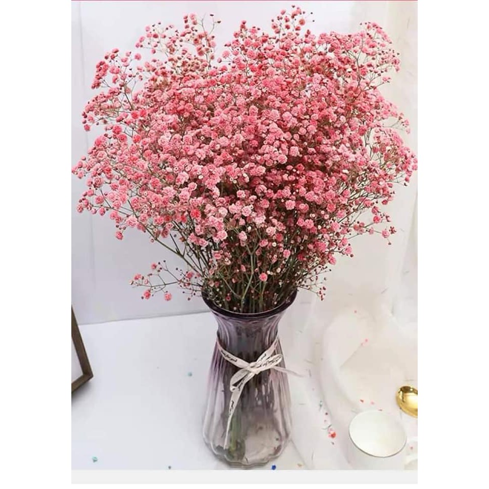 Hoa Baby bất tử Gypsophila hoa khô trang trí làm đồ handmade, bó 50g