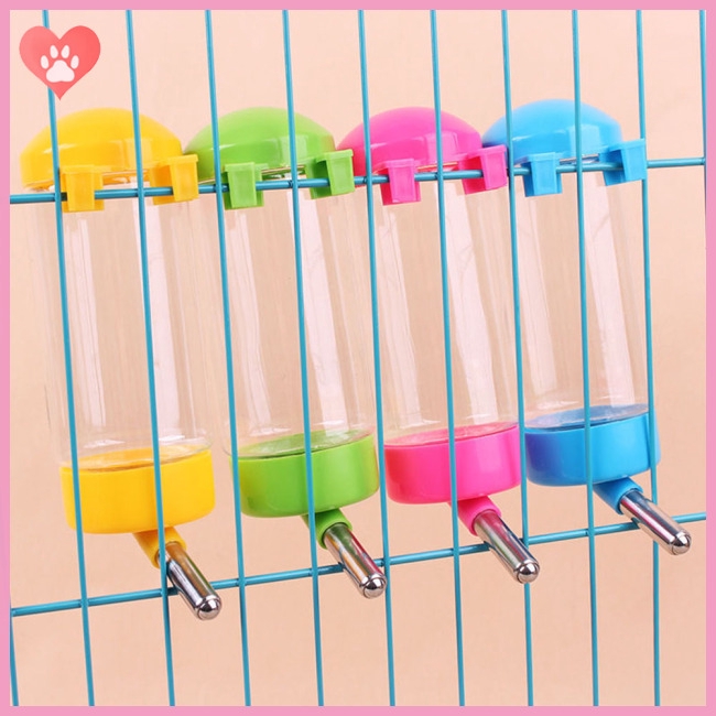 Bình uống nước cho chuột hamster